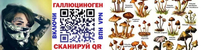 Галлюциногенные грибы мухоморы  Купить закладки  Донецк 